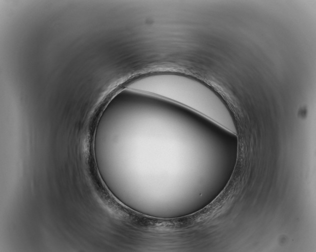 X0000099420064200805090800