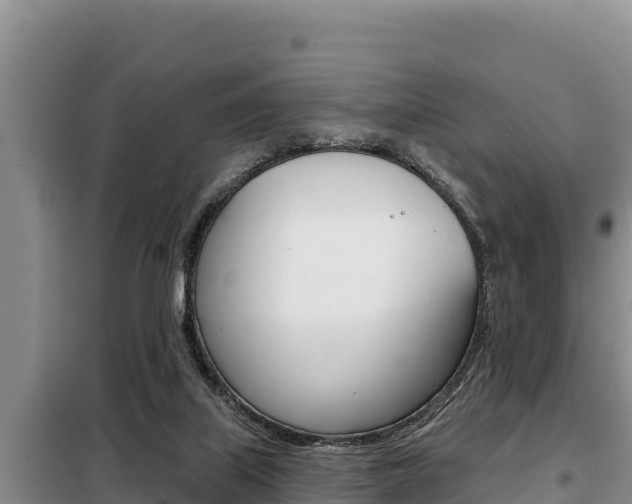 X0000099420067200805090800