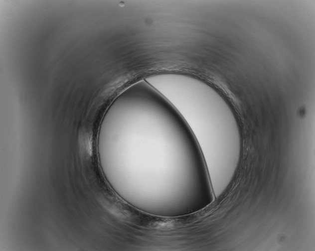 X0000099420068200805090800