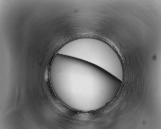 X0000099420069200805090800