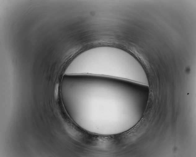 X0000099420070200805090800
