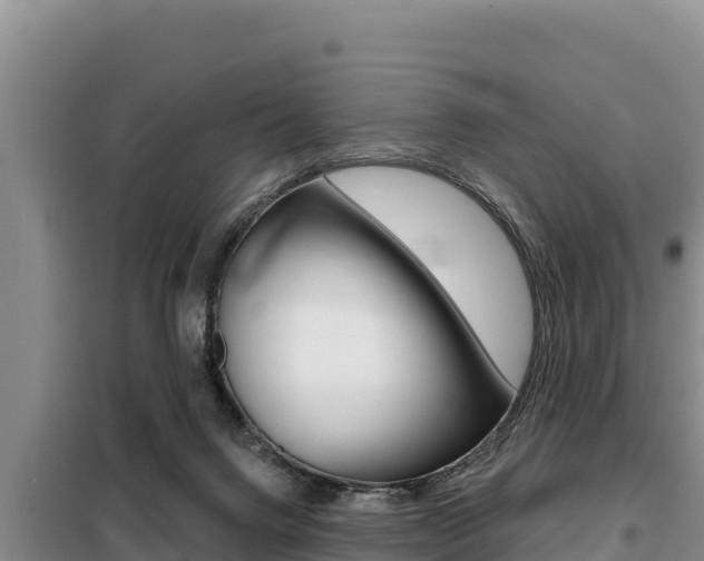 X0000099420072200805090800