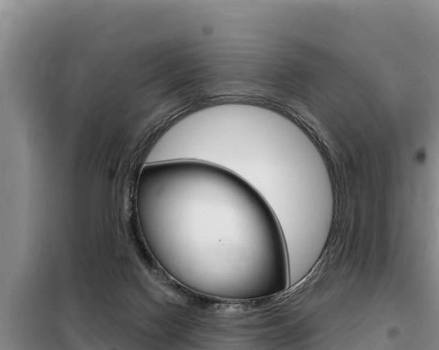 X0000099420074200805090800
