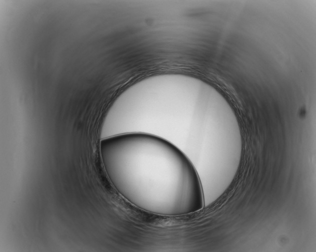 X0000099420075200805090800
