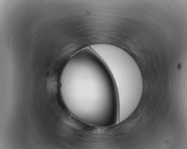 X0000099420080200805090801
