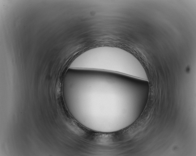 X0000099420081200805090801