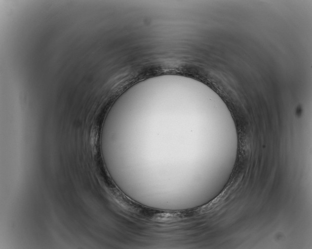 X0000099420082200805090801