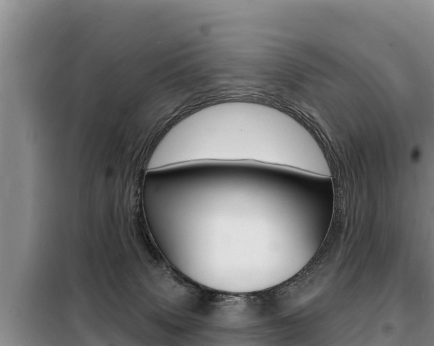 X0000099420083200805090801