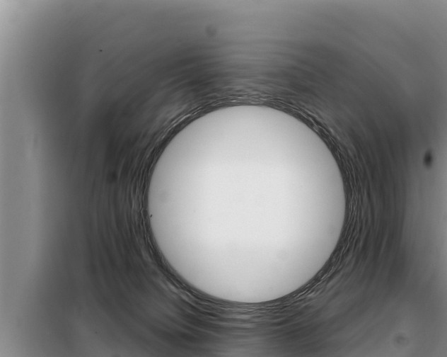 X0000099420084200805090801