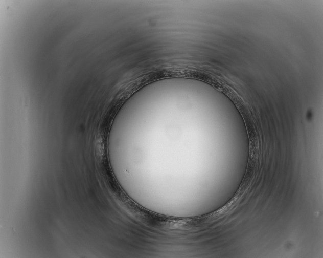 X0000099420086200805090801