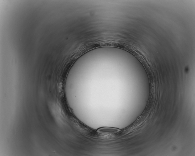 X0000099420087200805090801