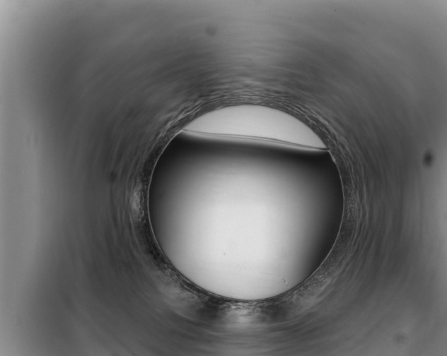 X0000099420088200805090801