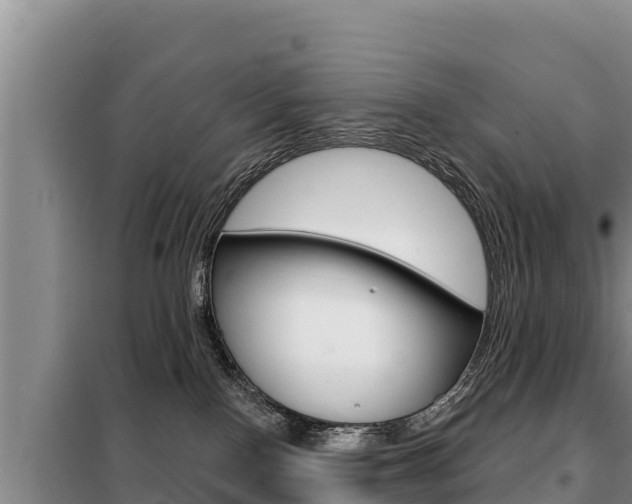X0000099420090200805090801