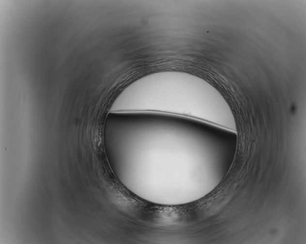 X0000099420091200805090801