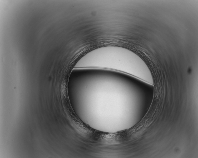 X0000099420092200805090801