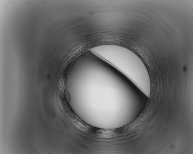 X0000099420093200805090801
