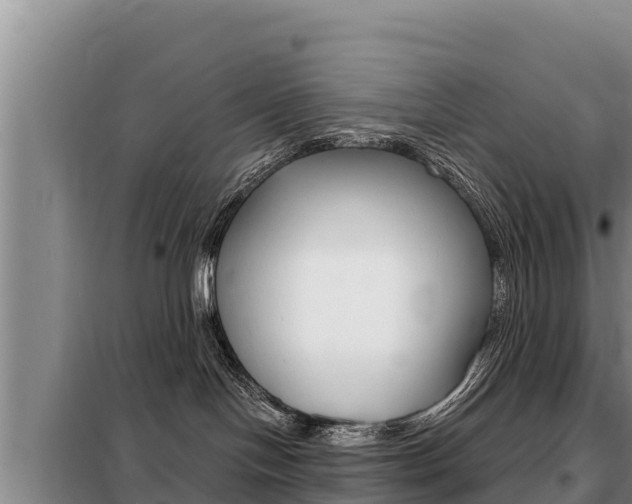 X0000099420094200805090801