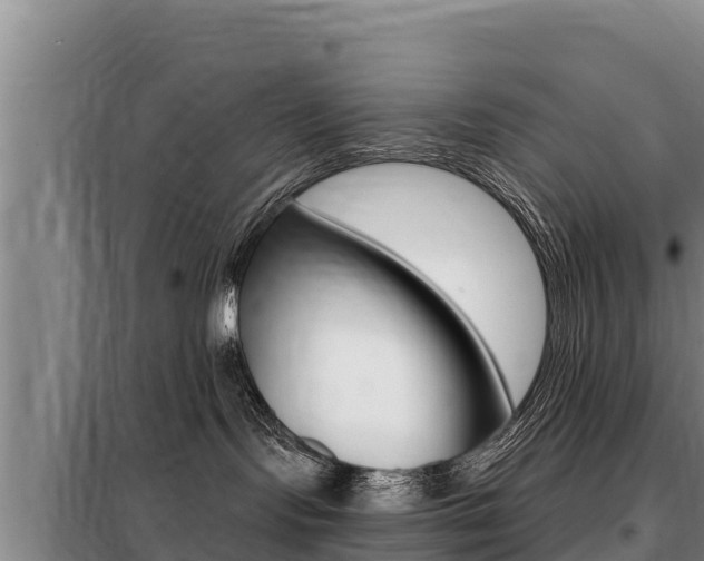 X0000099420095200805090801