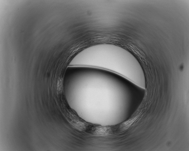 X0000099420096200805090801