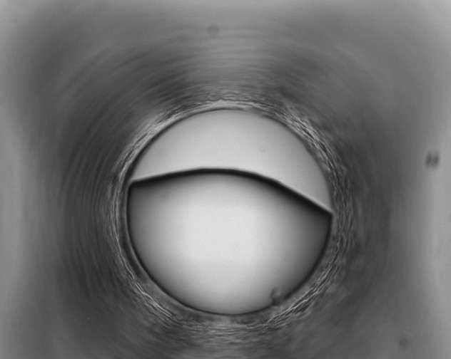 X0000099420098200805090800