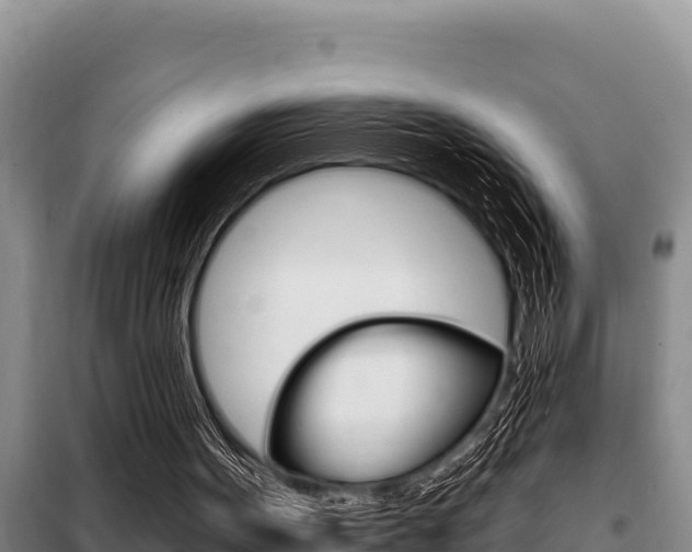 X0000099420099200805090800