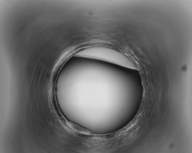 X0000099420101200805090800