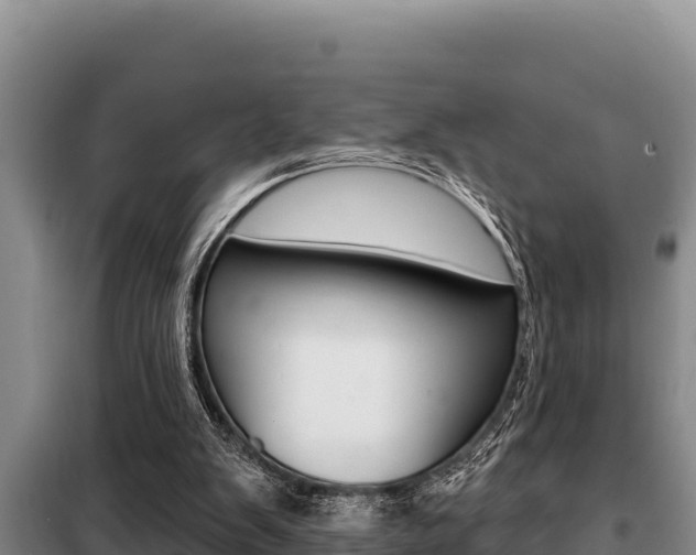 X0000099420103200805090800