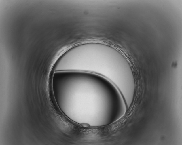 X0000099420104200805090800
