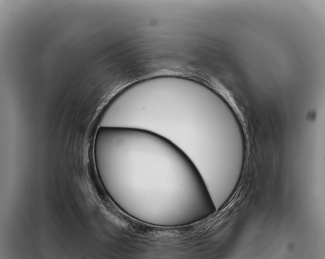 X0000099420106200805090800