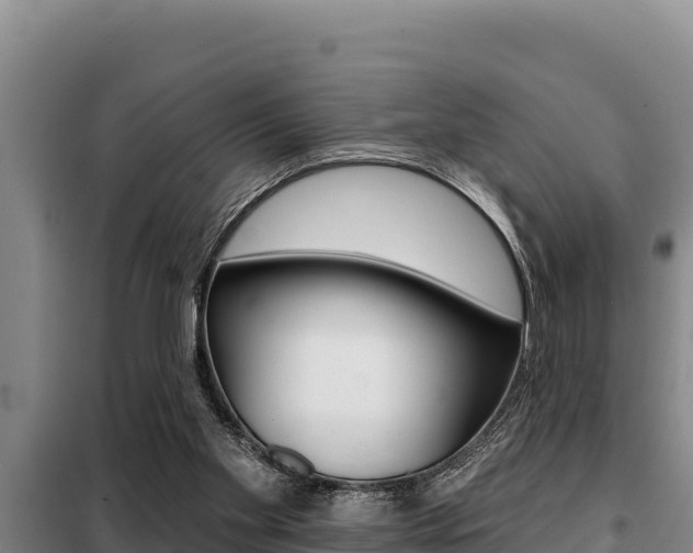 X0000099420109200805090800