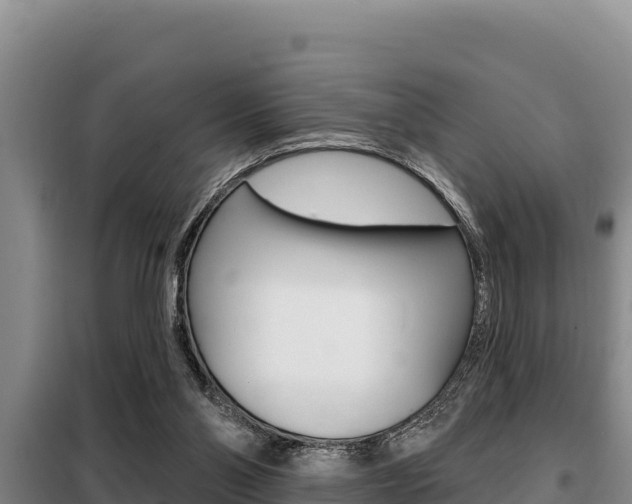 X0000099420110200805090800