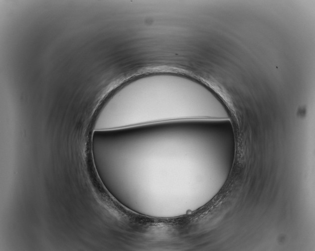 X0000099420111200805090800
