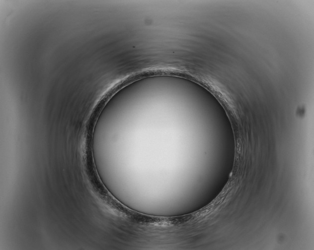 X0000099420112200805090800