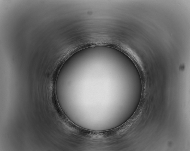 X0000099420113200805090800