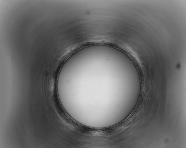 X0000099420115200805090800