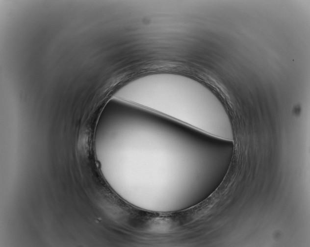 X0000099420119200805090800