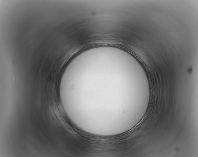 X0000099420120200805090800