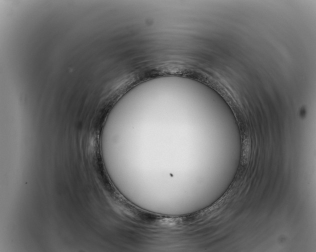 X0000099420126200805090800