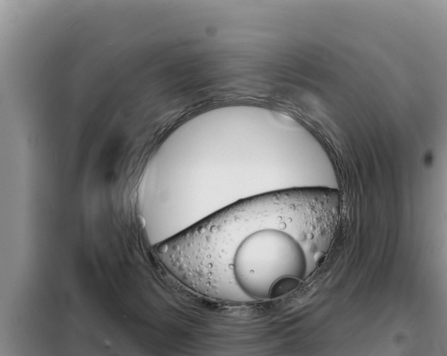 X0000099420127200805090800