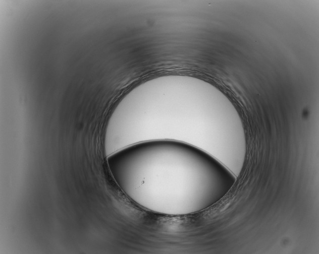 X0000099420131200805090800