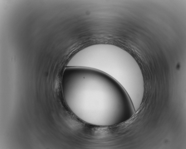 X0000099420132200805090800