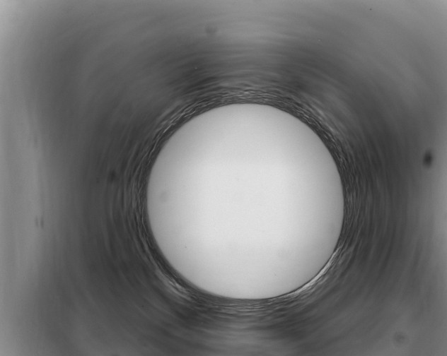 X0000099420136200805090800