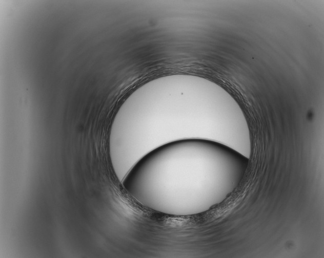 X0000099420139200805090800
