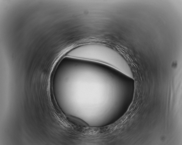 X0000099420148200805090759