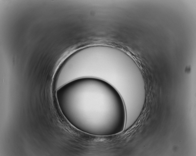X0000099420152200805090759