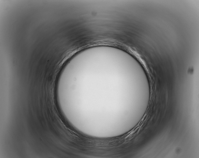 X0000099420154200805090759