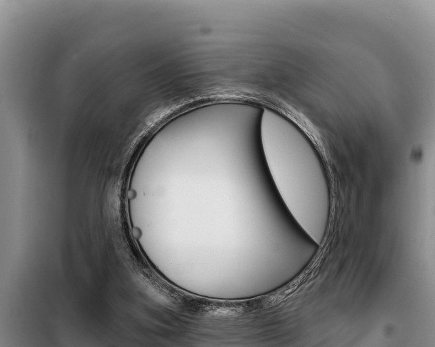 X0000099420155200805090759