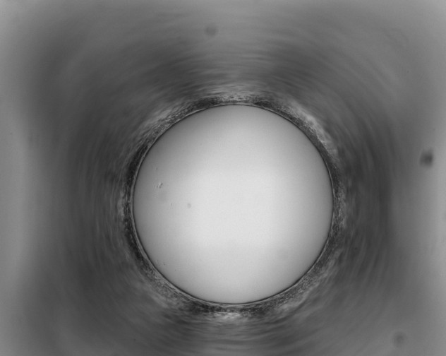 X0000099420161200805090759