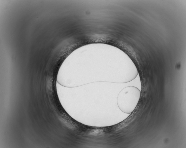 X0000099420162200805090759