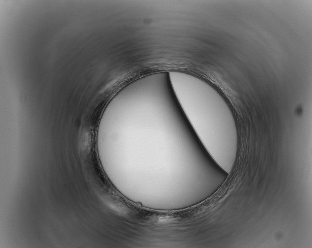 X0000099420165200805090759